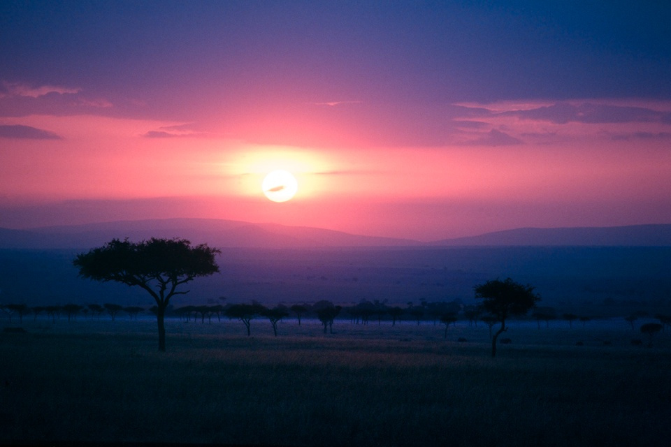 Landscape (3)