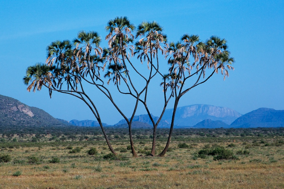 Landscape (2)