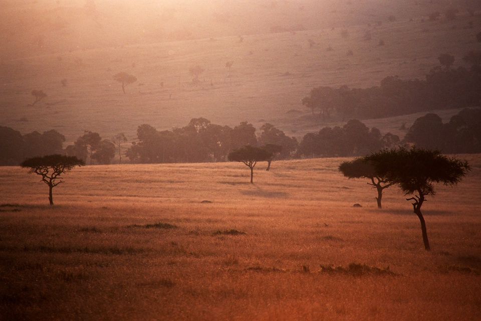 Landscape (1)